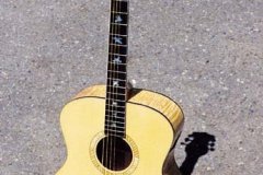 Acoustic Guitars