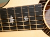 J-99 12-fret Baritone