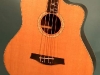 B-95 Acoustic Bass