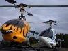Steve's R/C HeliWeb